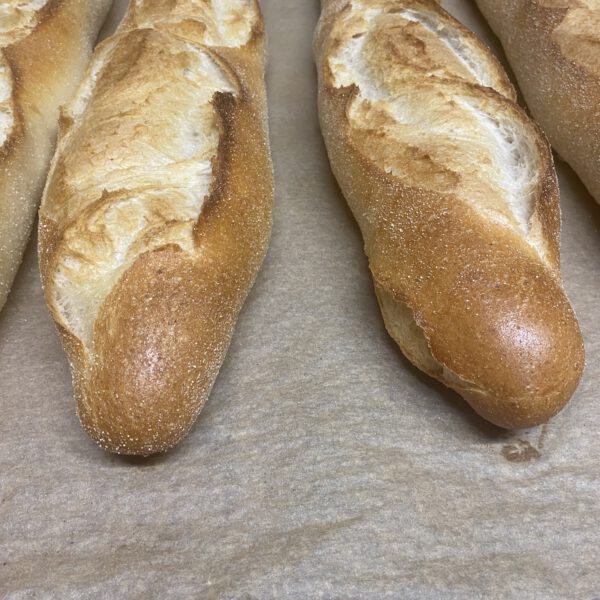 Brötchen & Kleingebäck